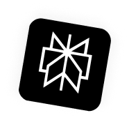 perplexity on scribble.network